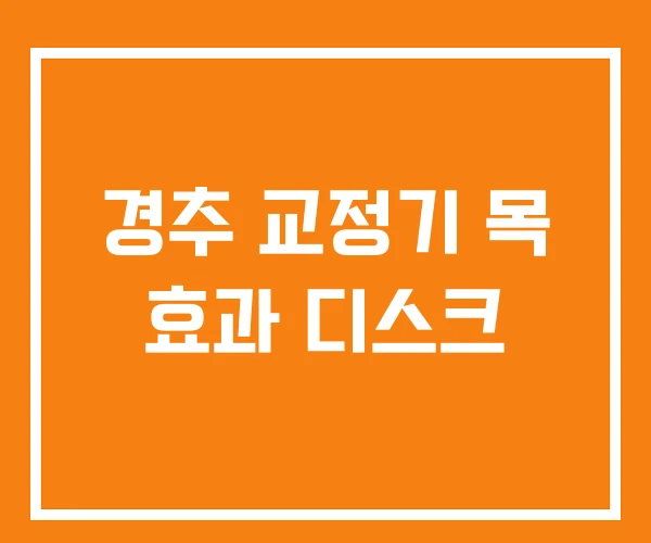 경추 교정기 목 효과 디스크 경추 교정기 목 효과 디스크