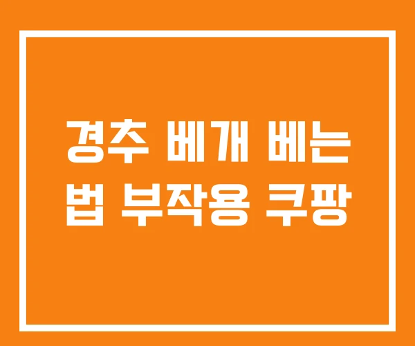 경추 베개 베는 법 부작용 쿠팡