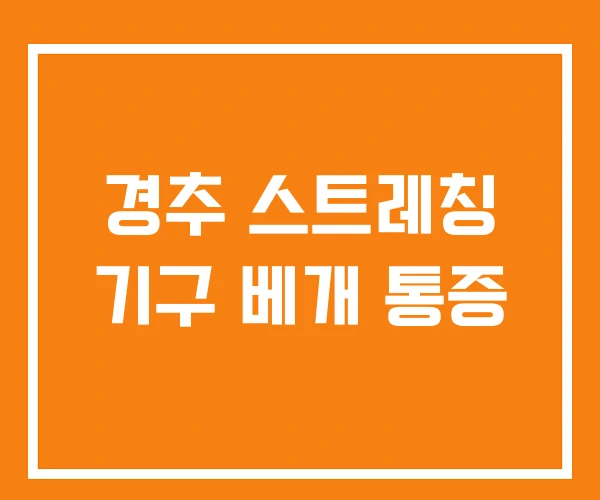 경추 스트레칭 기구 베개 통증