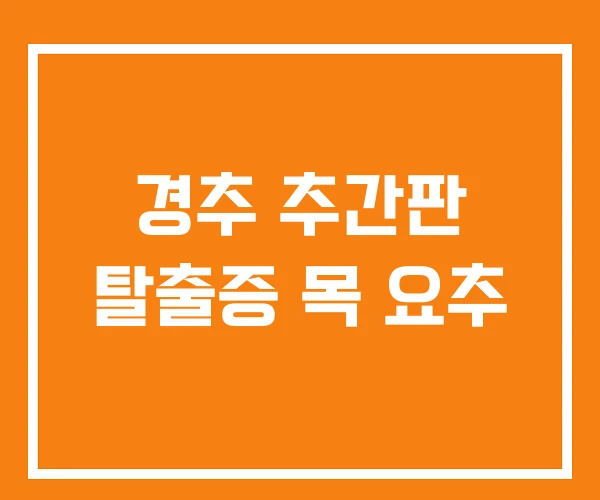 경추 추간판 탈출증 목 요추
