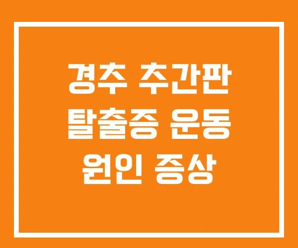 경추 추간판 탈출증 운동 원인 증상