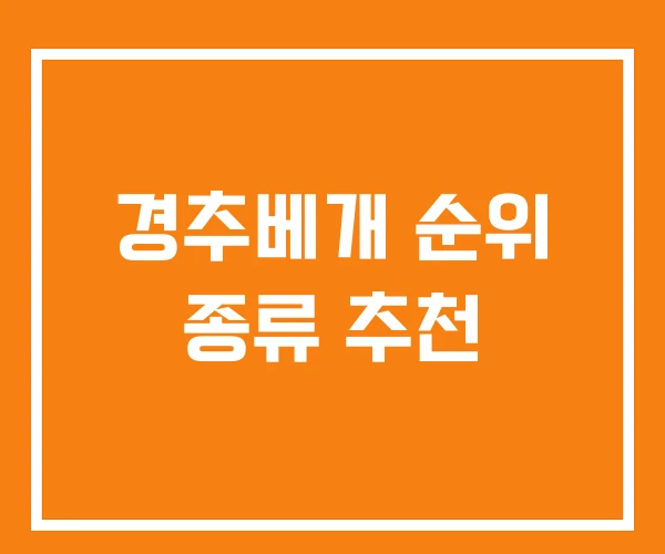 경추베개 순위 종류 추천