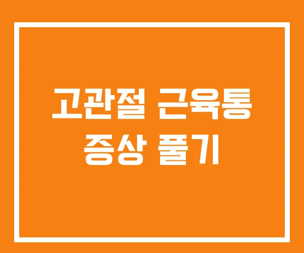 고관절 근육통 증상 풀기 고관절 근육통 증상 풀기