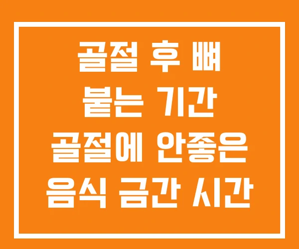 골절 후 뼈 붙는 기간 골절에 안좋은 음식 금간 시간