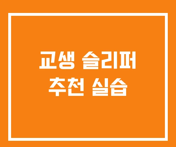 교생 슬리퍼 추천 실습
