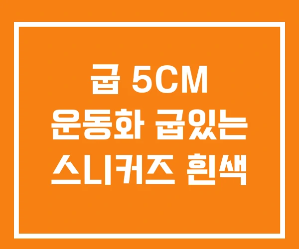 굽 5CM 운동화 굽있는 스니커즈 흰색 굽 5CM 운동화 굽있는 스니커즈 흰색
