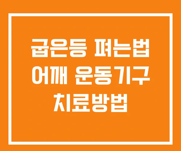 굽은등 펴는법 어깨 운동기구 치료방법