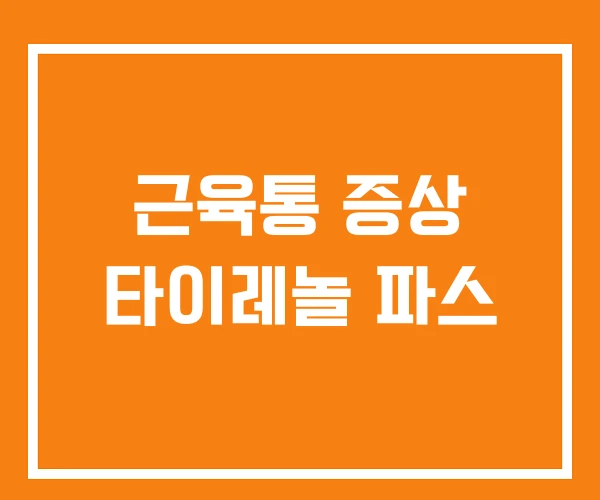 근육통 증상 타이레놀 파스
