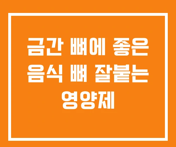 금간 뼈에 좋은 음식 뼈 잘붙는 영양제