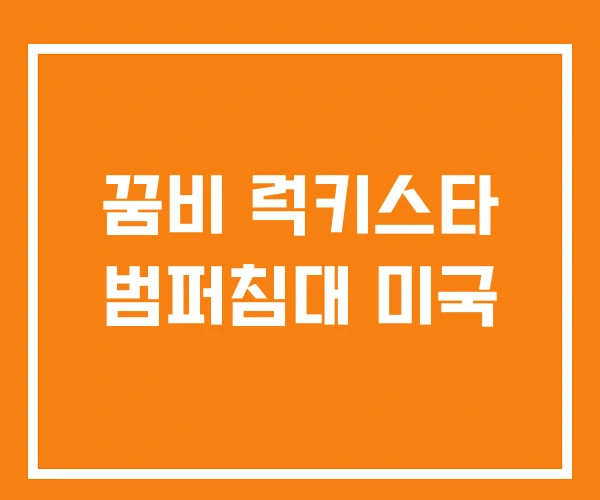 꿈비 럭키스타 범퍼침대 미국