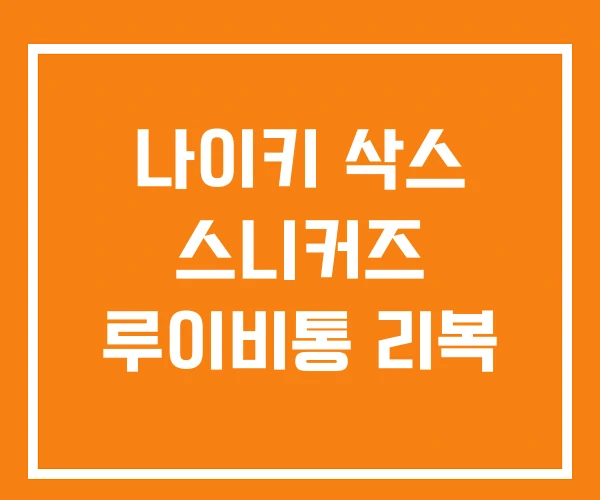 나이키 삭스 스니커즈 루이비통 리복