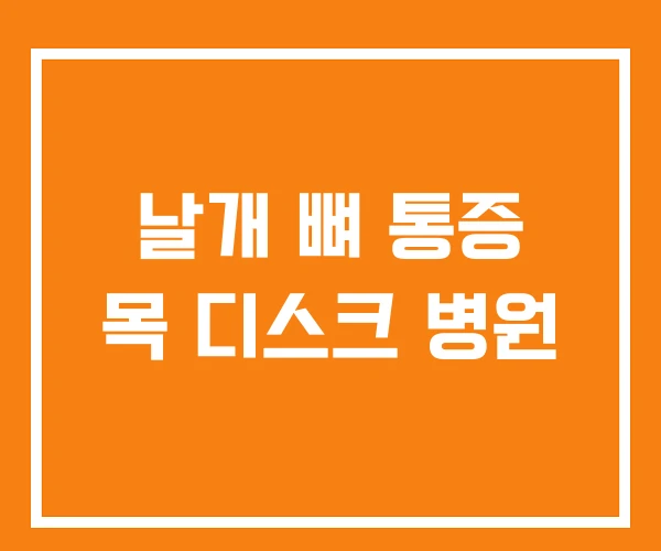 날개 뼈 통증 목 디스크 병원