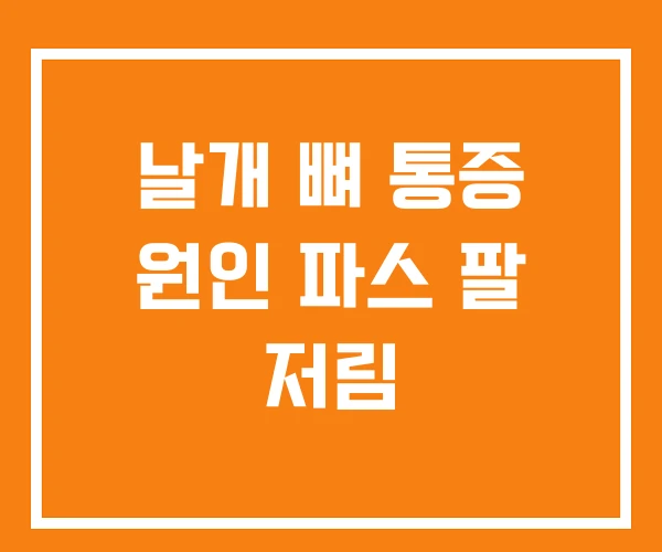 날개 뼈 통증 원인 파스 팔 저림 날개 뼈 통증 원인 파스 팔 저림