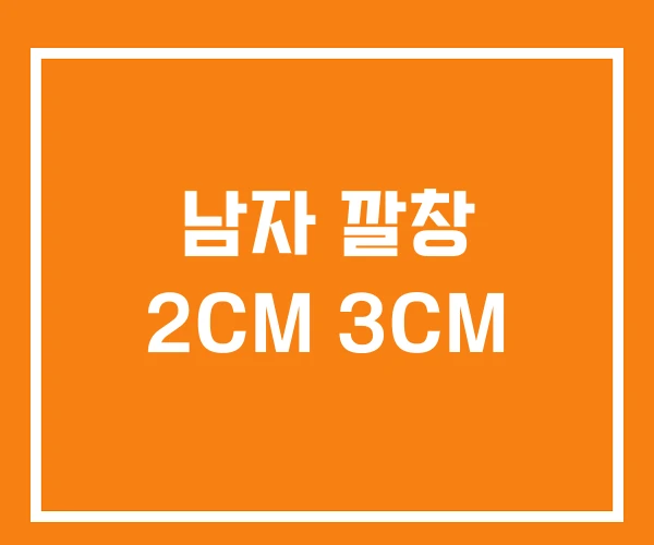 남자 깔창 2CM 3CM 남자 깔창 2CM 3CM