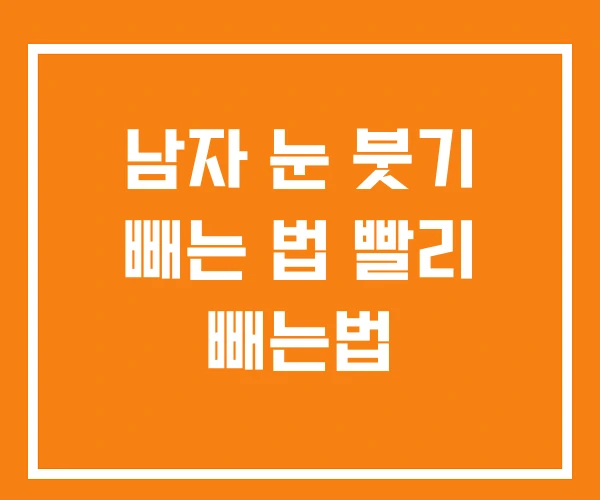 남자 눈 붓기 빼는 법 빨리 빼는법