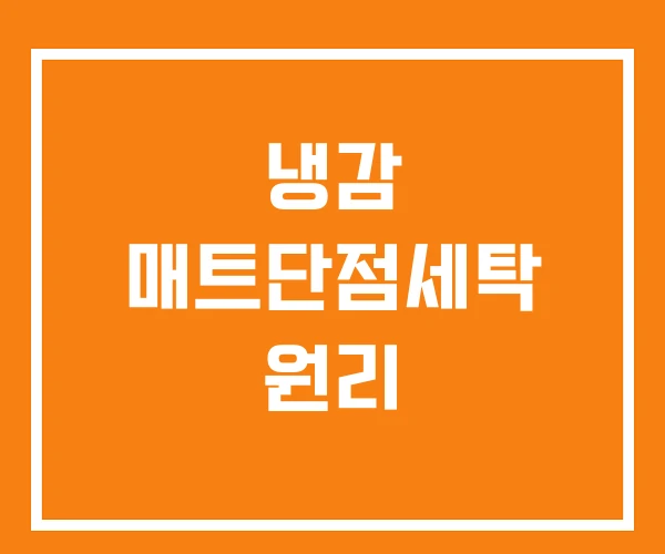 냉감 매트단점세탁 원리