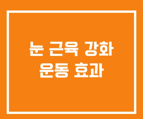 눈 근육 강화 운동 효과 눈 근육 강화 운동 효과