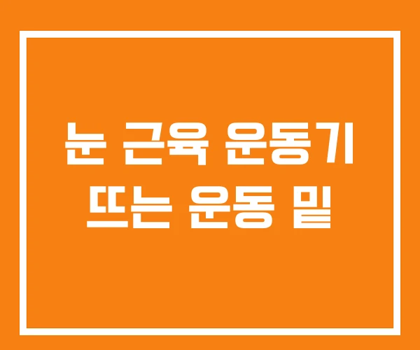 눈 근육 운동기 뜨는 운동 밑