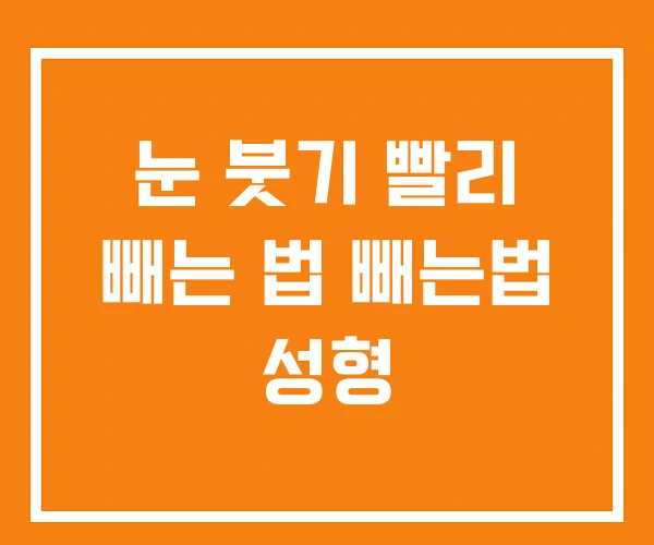 눈 붓기 빨리 빼는 법 빼는법 성형