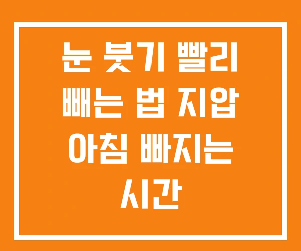 눈 붓기 빨리 빼는 법 지압 아침 빠지는 시간