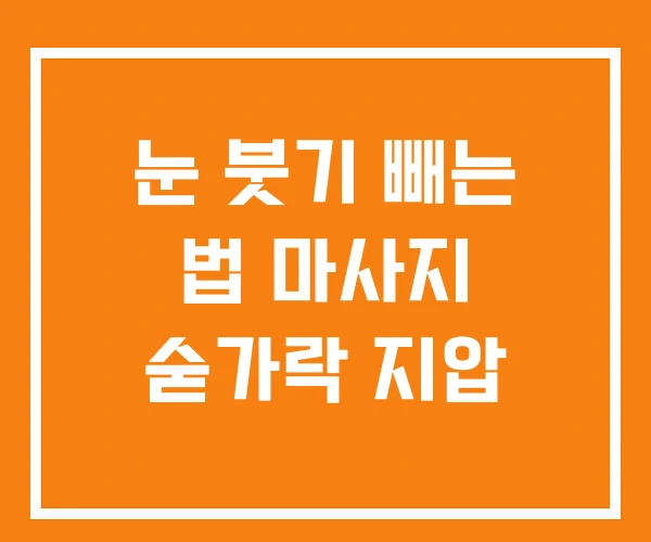 눈 붓기 빼는 법 마사지 숟가락 지압
