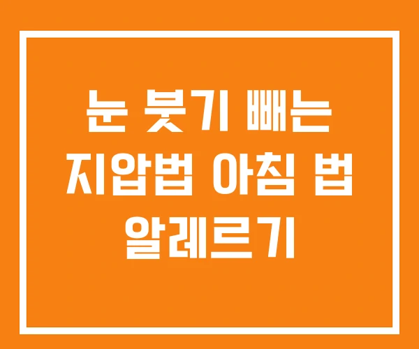 눈 붓기 빼는 지압법 아침 법 알레르기