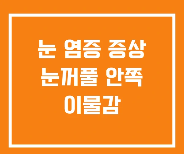 눈 염증 증상 눈꺼풀 안쪽 이물감