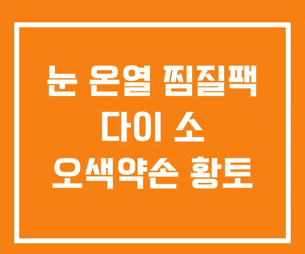 눈 온열 찜질팩 다이 소 오색약손 황토