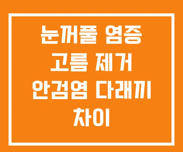 눈꺼풀 염증 고름 제거 안검염 다래끼 차이