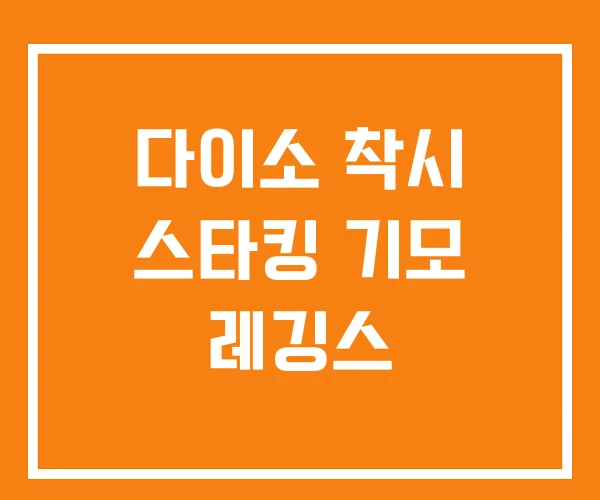 다이소 착시 스타킹 기모 레깅스