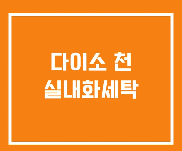 다이소 천 실내화세탁 다이소 천 실내화세탁