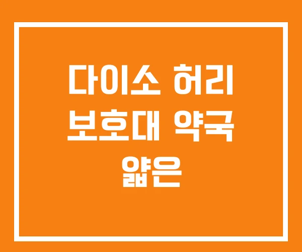 다이소 허리 보호대 약국 얇은 다이소 허리 보호대 약국 얇은