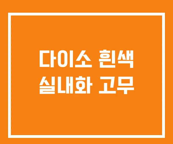 다이소 흰색 실내화 고무 다이소 흰색 실내화 고무