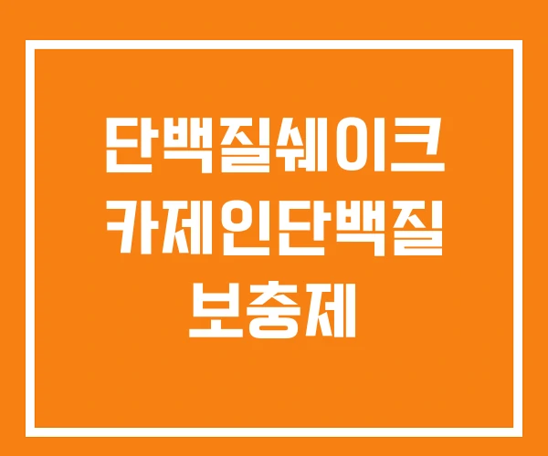 단백질쉐이크 카제인단백질 보충제