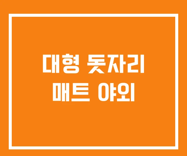 대형 돗자리 매트 야외