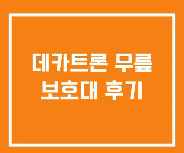 데카트론 무릎 보호대 후기