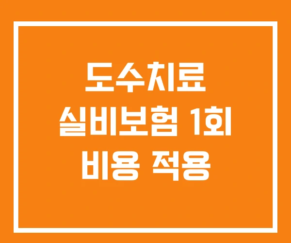 도수치료 실비보험 1회 비용 적용 도수치료 실비보험 1회 비용 적용