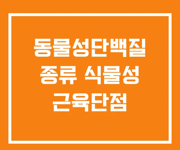 동물성단백질 종류 식물성 근육단점 동물성단백질 종류 식물성 근육단점
