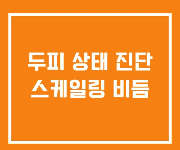 두피 상태 진단 스케일링 비듬