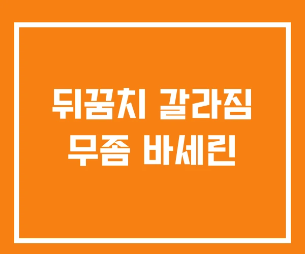 뒤꿈치 갈라짐 무좀 바세린