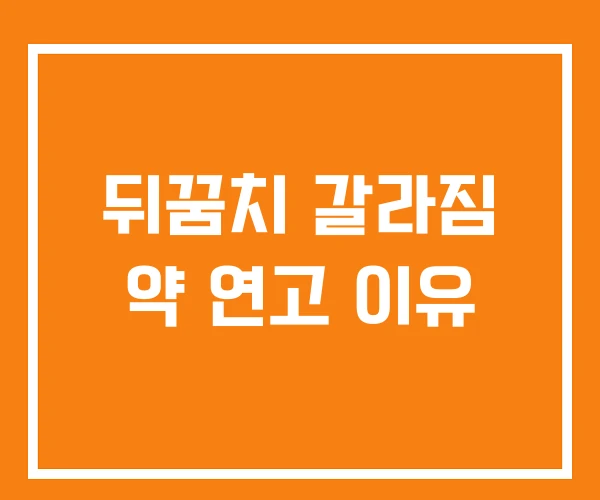 뒤꿈치 갈라짐 약 연고 이유