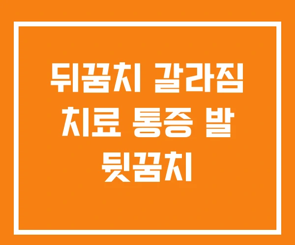 뒤꿈치 갈라짐 치료 통증 발 뒷꿈치