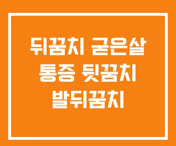뒤꿈치 굳은살 통증 뒷꿈치 발뒤꿈치