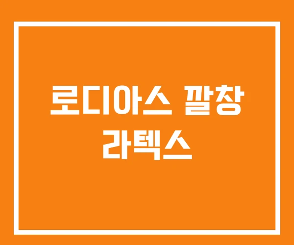 로디아스 깔창 라텍스 로디아스 깔창 라텍스