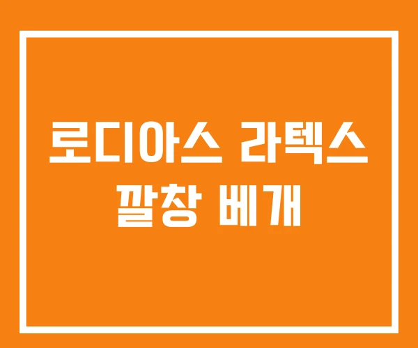 로디아스 라텍스 깔창 베개 로디아스 라텍스 깔창 베개