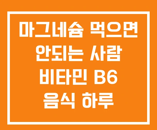 마그네슘 먹으면 안되는 사람 비타민 B6 음식 하루 권장량