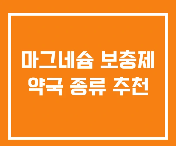마그네슘 보충제 약국 종류 추천