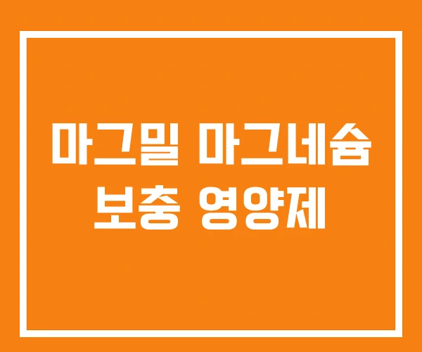마그밀 마그네슘 보충 영양제