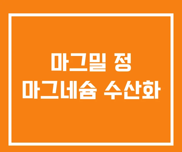 마그밀 정 마그네슘 수산화