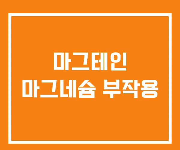 마그테인 마그네슘 부작용